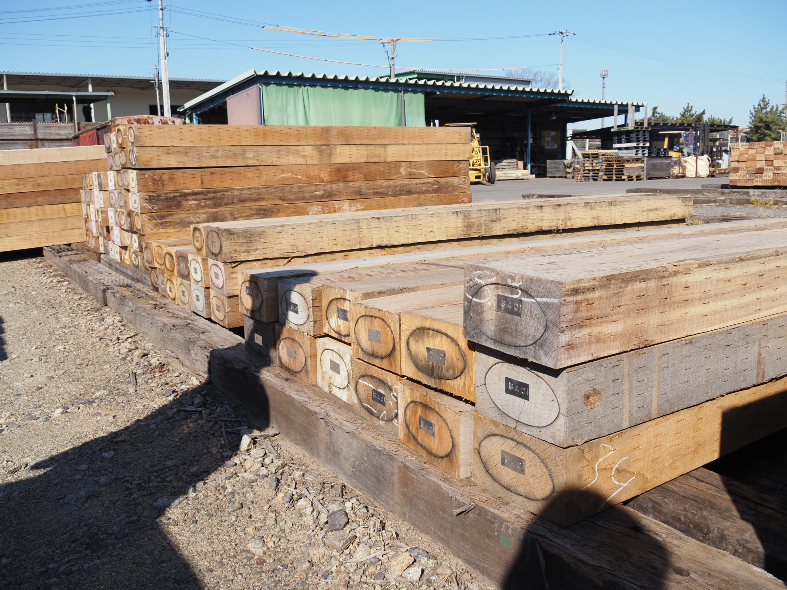 視察報告】鉄道用枕木の製造現場を視察しました : 岐阜県立森林文化