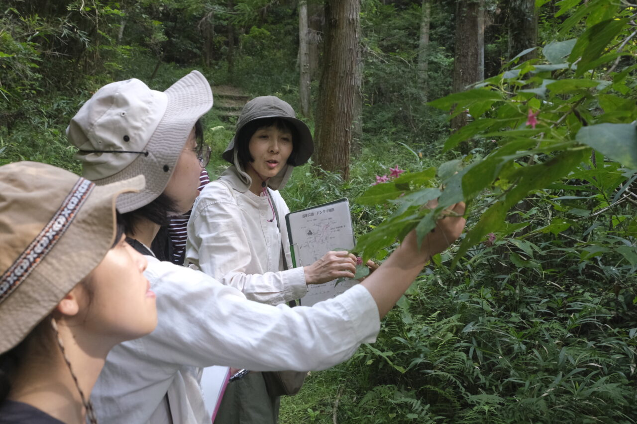岐阜県博物館学芸員久松氏のレクチャーを受ける学生ら