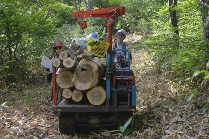 「広葉樹林の保全と活用」では、林業機械も体験します