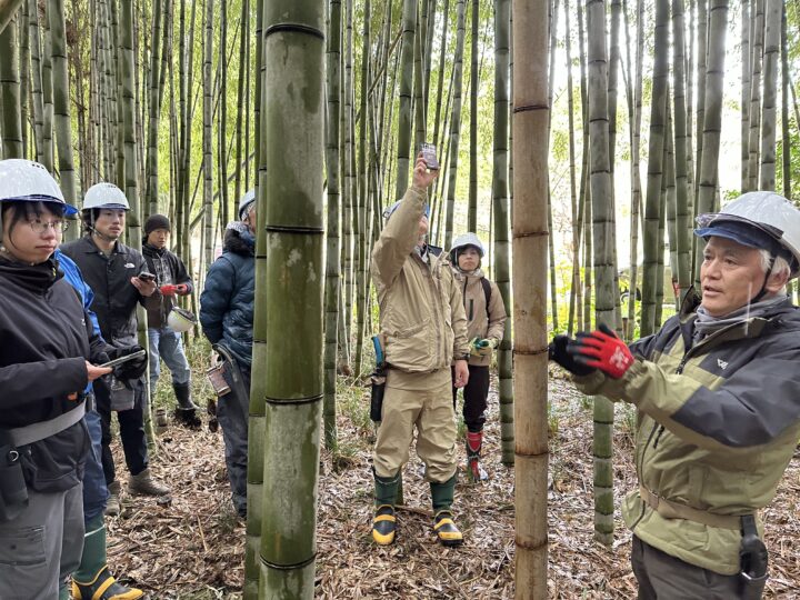 竹林整備の説明を受ける学生
