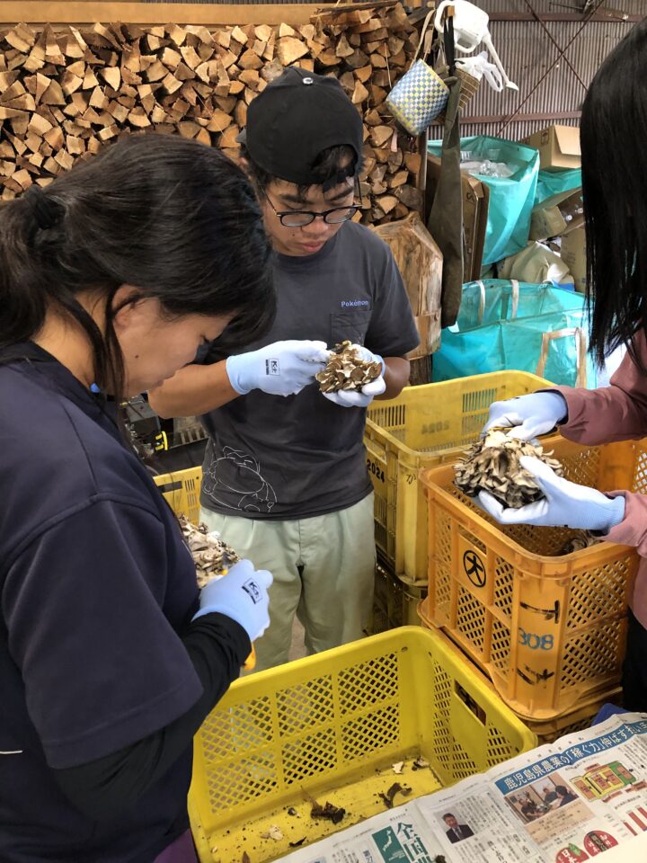 調整作業の様子