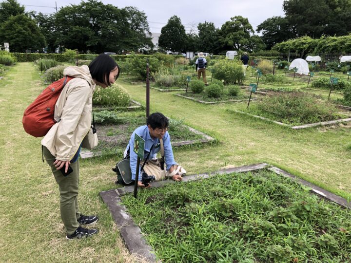 観察の様子