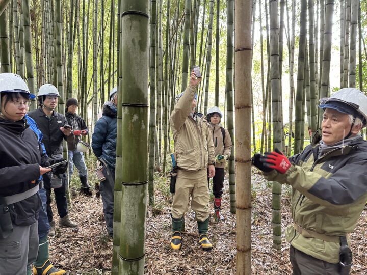 竹林整備の様子