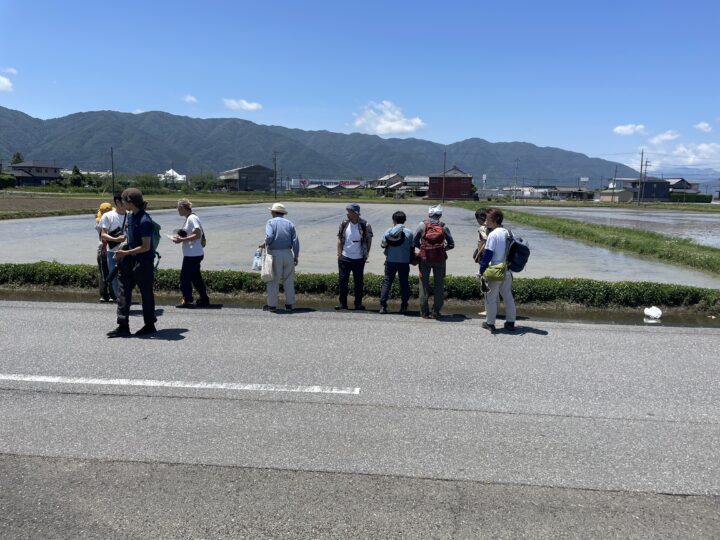 水路観察中の写真