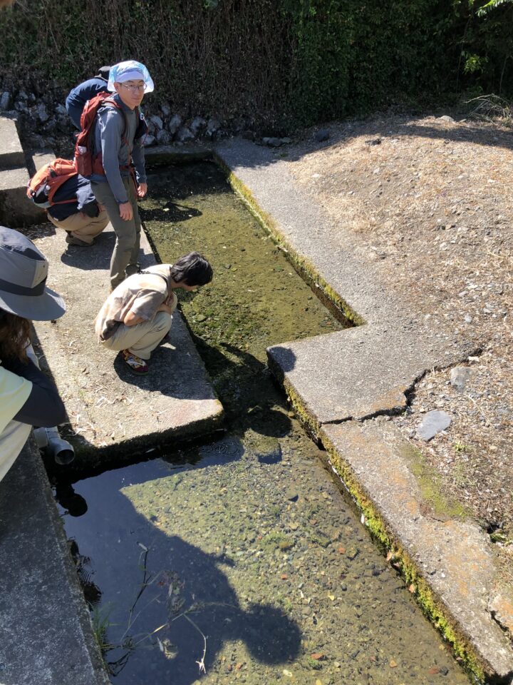 ハリヨ湧水地