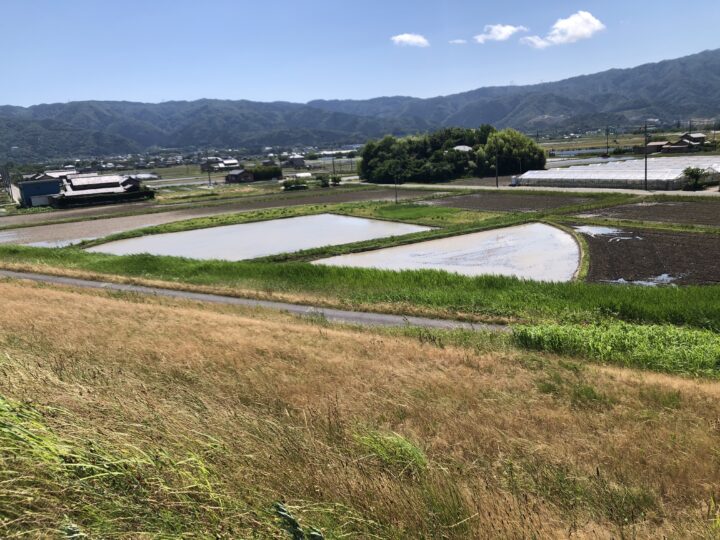 押堀の写真