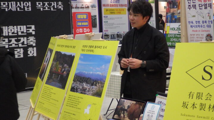 展示の様子