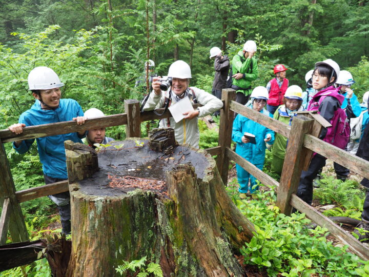 森で切り株を眺める山路さん