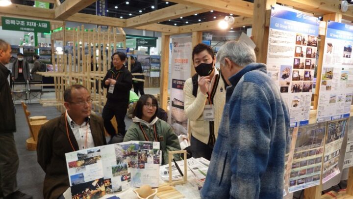 展示の様子