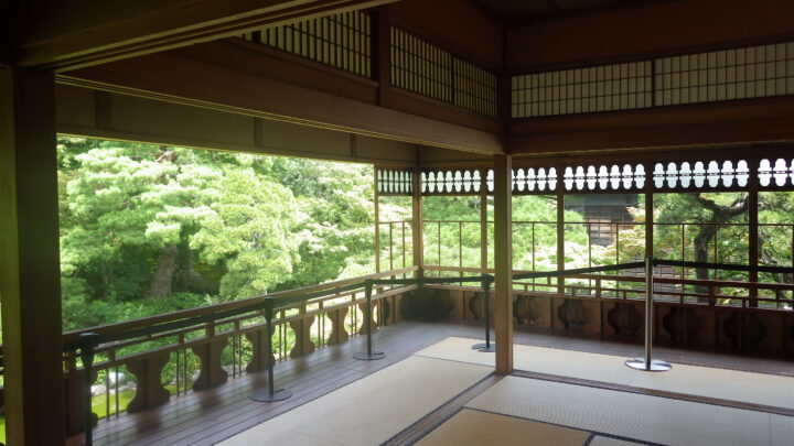 視察の様子